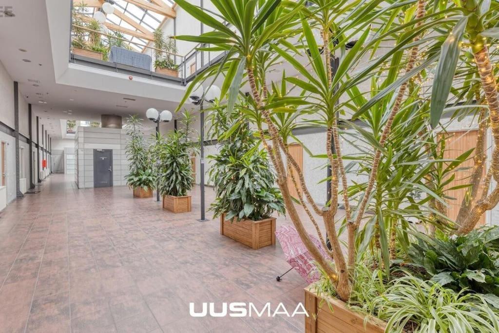 Charming Loft Near Old Town * Tallinn